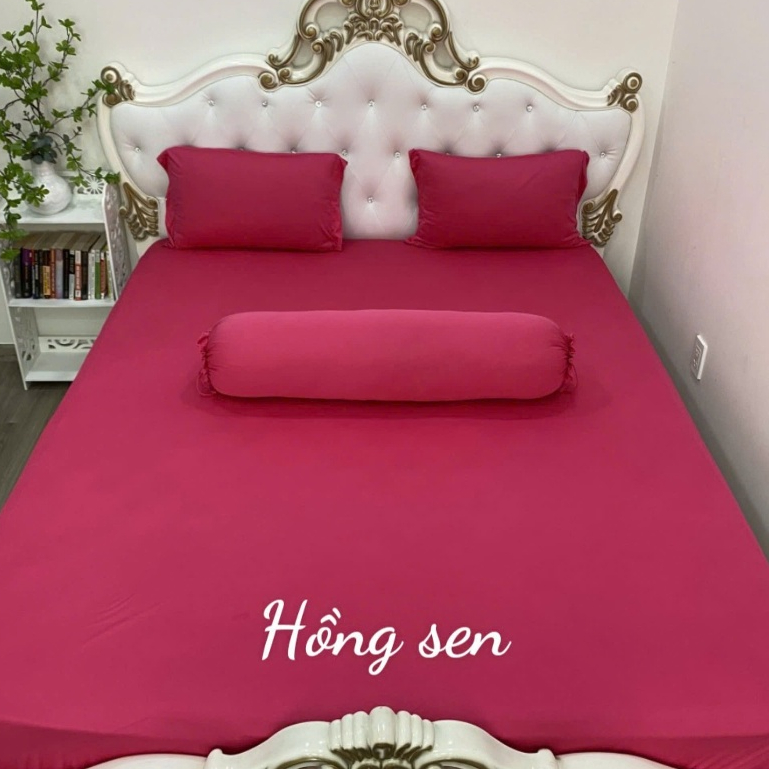 Bộ Drap gối .Thun Hàn Quốc Mát Lạnh { 4 món }.