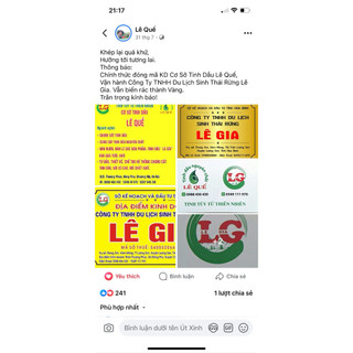 Tinh dầu Khuynh Diệp Lê Quế 50ml