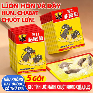 Bẫy chuột siêu dính - Bẫy chuột kết hợp có thể bắt được chuột, ruồi và côn trùng
