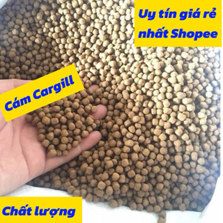  1kg cám cá cargilll siêu đạm dùng cho cá chép cá rô cá vàng.. mồi câu siêu dính 