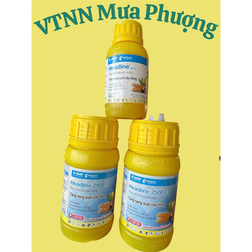 Điều hoà sinh trưởng Headline 250EC (100ml). BASF - Đức