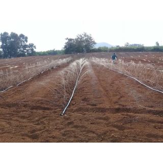 Ống tưới phun mưa phi 21mm thương hiệu BIMI AGRI - cuộn 100 mét