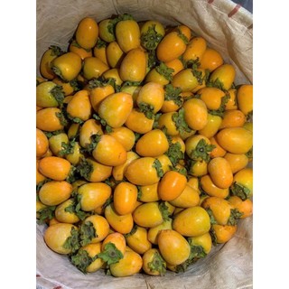  Hồng Giòn Quế Hương - FoodMap Fruits 