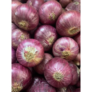 Hành Tím khô Ấn Độ - tím đậm (vụ mới) - củ to - nồng - cay - túi lưới tiện dụng