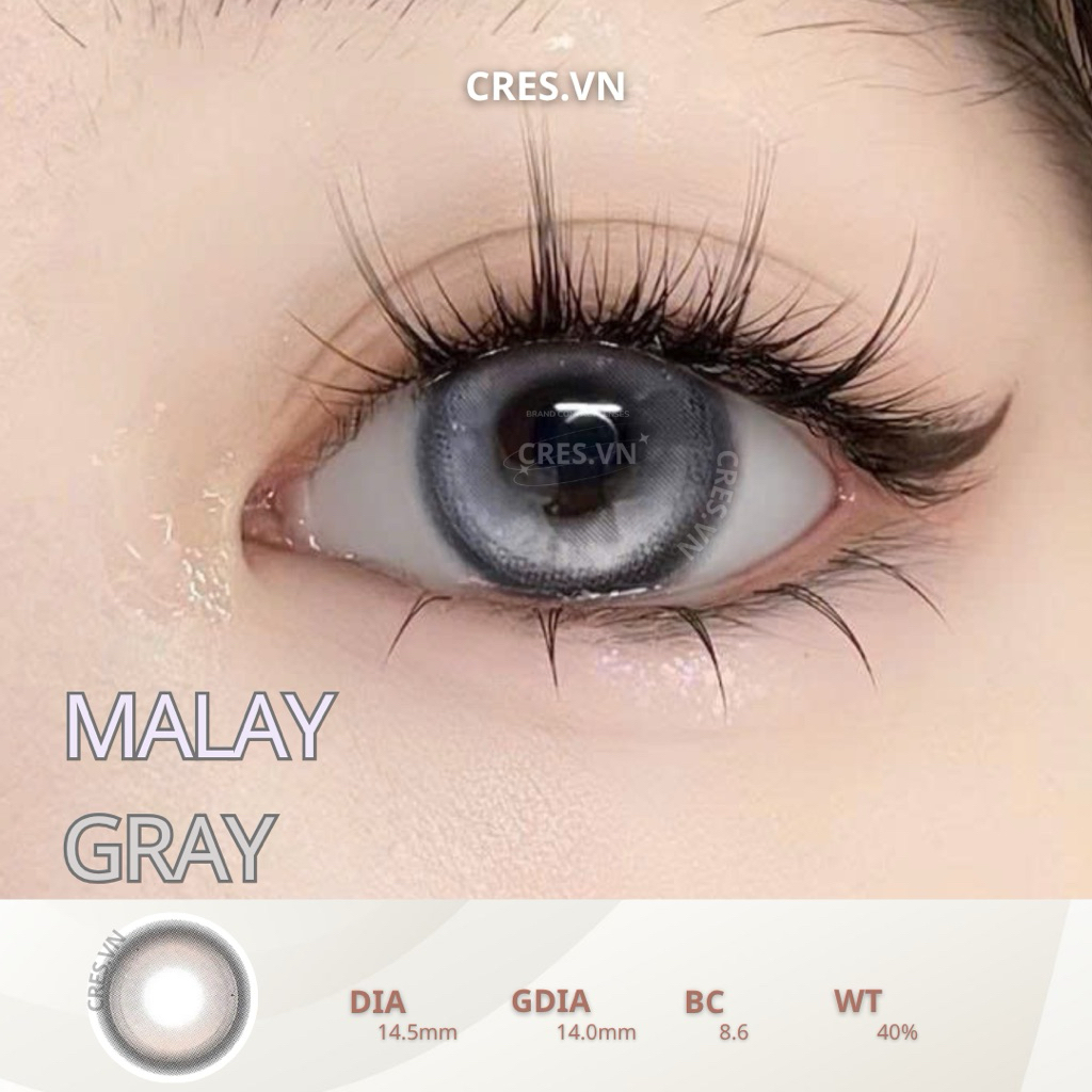 MALAY / STORMY GRAY l Lens douyin xám ánh tím 14.5MM