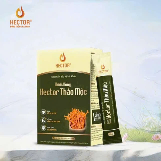 HECTOR - Nước uống thảo mộc thiên nhiên tăng cường đề kháng, phục hổi sức khỏe 25mlx10 gói