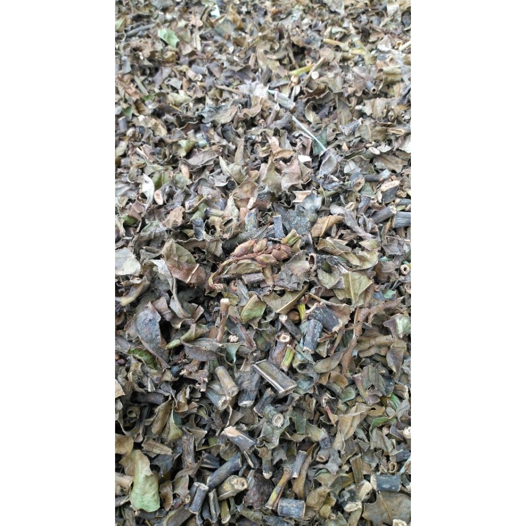 500g thân lá cây ô rô khô mới