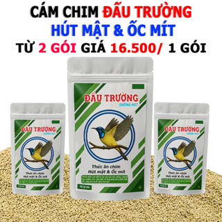 Cám chim hút mật ốc mít - Đấu Trường 