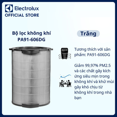 Bộ lọc không khí Electrolux PA91-606DG, Giảm 99,97% PM2.5 và các chất gây kích ứng siêu mịn trong không khí EFDCLN6