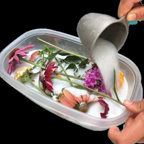 Cát Hút Ẩm Silica Gel Làm Hoa Khô Tái Sử Dụng