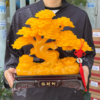  Cây Phú Quý Tài Lộc Cây Kim Tiền Vàng Phong Thủy Quà Tặng Tân Gia Khai Trương Sinh Nhật 