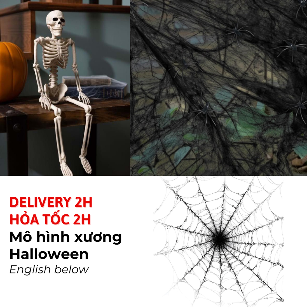 Bộ Mô Hình Xương Người 40cm, Mạng Nhện, Tơ Nhện Trang Trí Tiệc Halloween - Skeleton Set 40cm for Hal