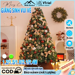  Cây Thông Noel Cước Nở Hoa Gắn Trái Đỏ Mẫu 2025 1m2-2m4 Trang Trí Giáng Sinh đầy đủ phụ kiện đi kèm 