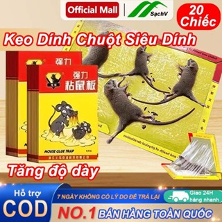  Keo Dính Chuột Siêu Dính Bãy Chuột Cống To Lớn - Tấm Keo Bẫy Chuột Bắt Chuột Diệt VIỆT NAM - Keo Dán Chuột 