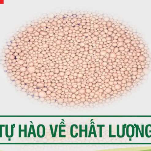 Phân bón 20-10-10 chiết lẻ gói 1 kg