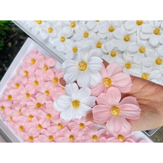  Sỉ Hộp hoa sáp Cúc Cánh Bươm có vân Hộp 50 bông hoa sáp thơm  Hàng Loại VIP 