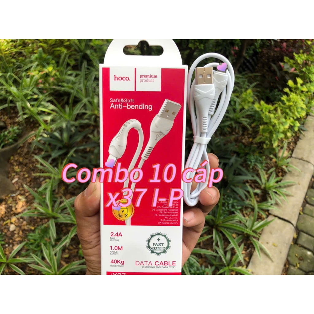 [Giá Sĩ] Set combo 10 cáp x37 cho các dòng trái cây