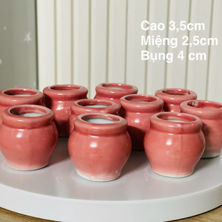 Combo 5 chậu hoa gốm sứ mini 3,5 cm