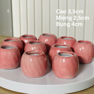Combo 10 chậu cắm hoa gốm sứ mini