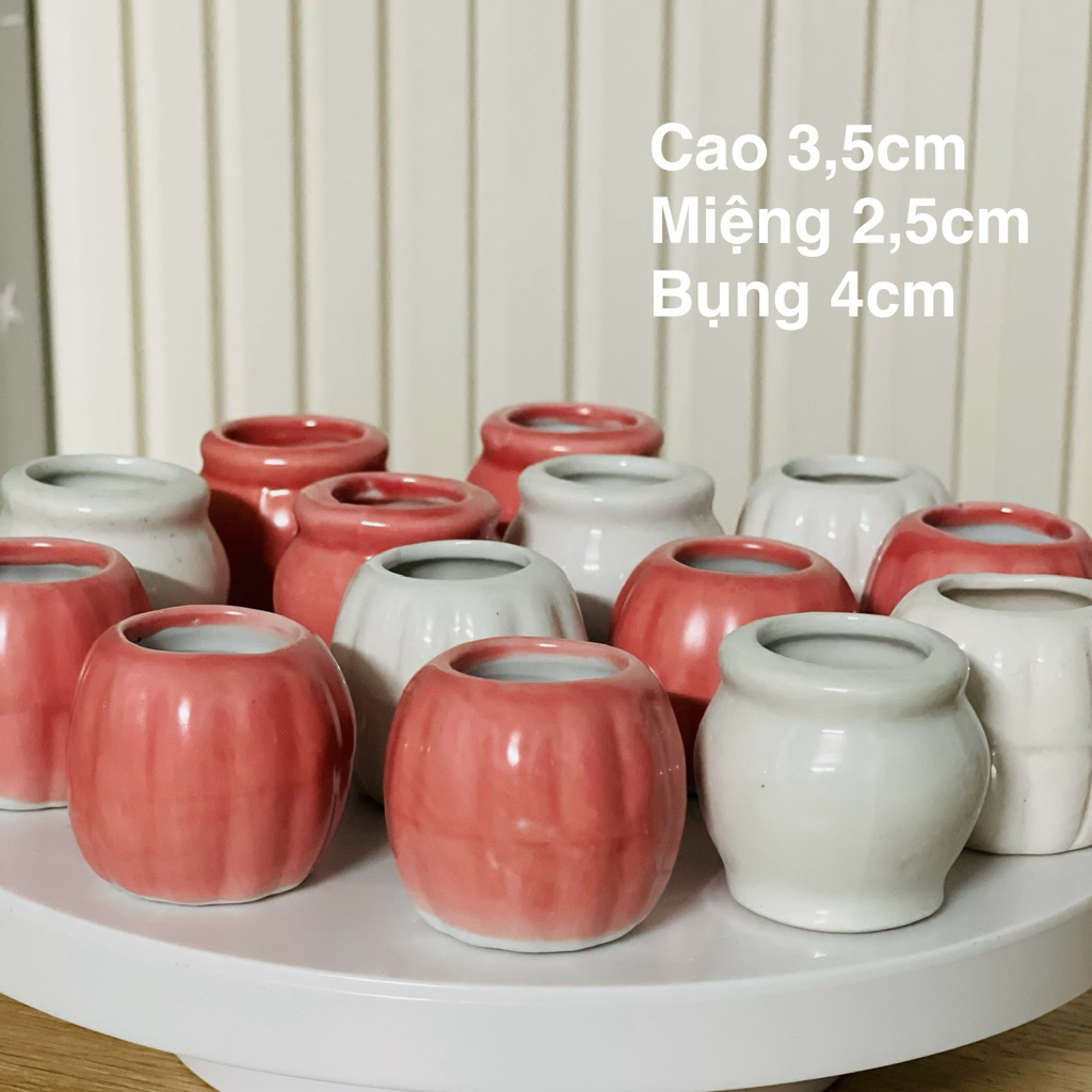 Combo 5 chậu hoa gốm sứ mini 3,5 cm