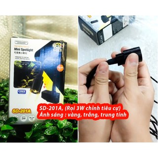 Đèn Led Rọi Coco Cho Bể Cá Cảnh Thủy Sinh, Biotop, Bán Cạn