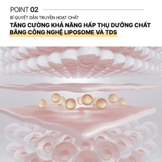 [LIVE] Tinh chất collagen vitamin dưỡng sáng căng bóng da MediAnswer Vita Collagen Logic Ampoule 30ml