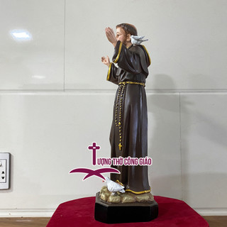 Tượng Thánh Phanxico Assisi 50cm composite