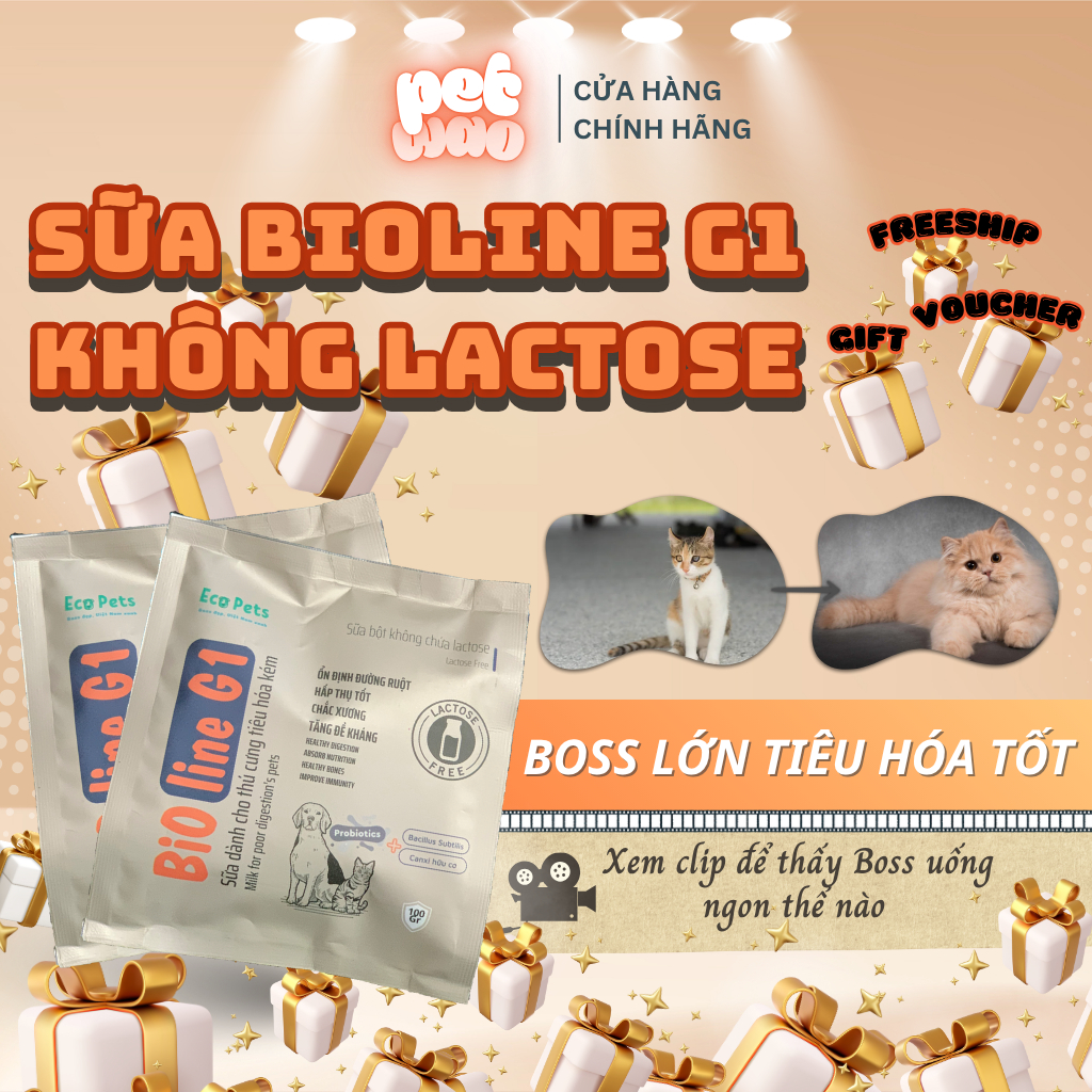 Sữa cho mèo con PetWao BIOLINE G1 eco milk không chứa lactose, hỗ trợ tiêu hóa, bổ sung dinh dưỡng 5