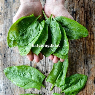 5 Gram  - Hạt Giống Cải Bó Xôi Đà Lạt