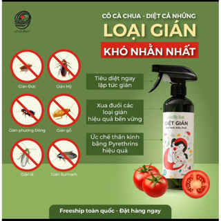 Diệt Kiến Gián Ruồi Muỗi Côn Trùng Tự Nhiên An Toàn Cô Cà Chua 500ml
