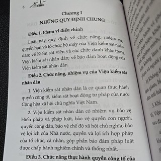 Sách - Luật tổ chức Viện kiểm sát nhân dân (NXB Lao động)