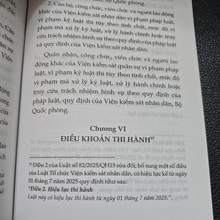 Sách - Luật tổ chức Viện kiểm sát nhân dân (NXB Lao động)