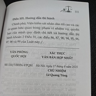 Sách - Luật tổ chức Viện kiểm sát nhân dân (NXB Lao động)