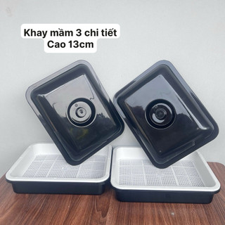🔥 HOAN HỈ ỦNG HỘ🙏🙏Khay ủ giá trồng rau mầm thuỷ canh đa năng các loại