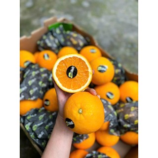   Hỏa tốc HCM  Cam Nam Phi - Túi 1Kg - Foodmap Fruits 