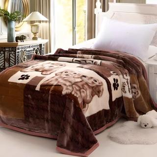 Chăn mền tuyết nhung 3.5kg dài 1m9x2m1 HiLOGI 2 lớp loại dày, mền bông mùa đông cotton mềm mịn 2mx2m