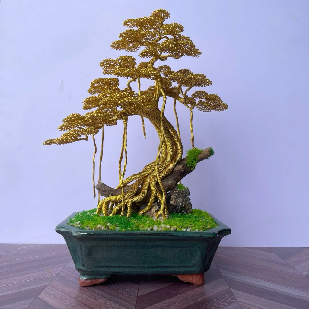 Cây bonsai lucky tree Trang trí nhà cửa