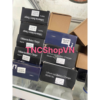 Sạc xe điện Pin Fepo4, Lithium hệ 48V, 60V, 72V