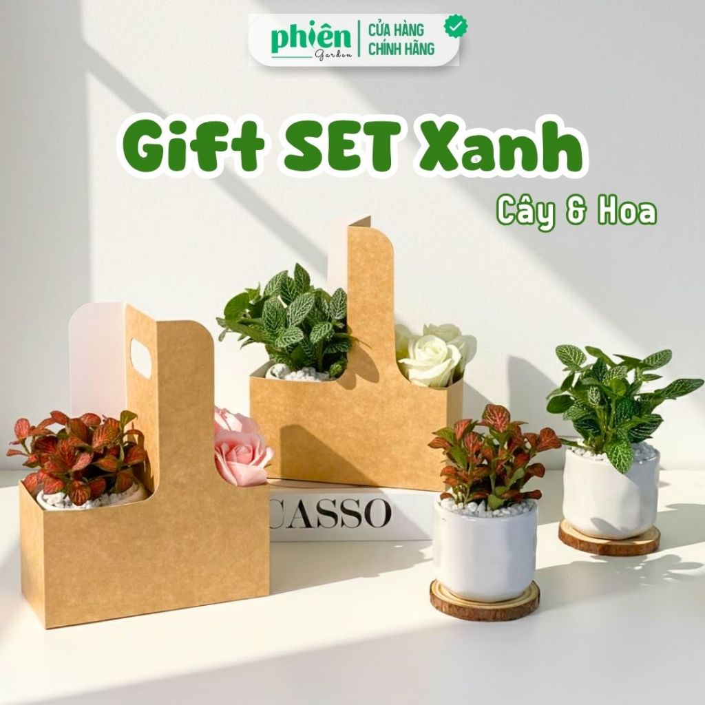 Set quà cây lá may mắn và nến thơm, Hộp Quà Tặng Đồng Nghiệp, Doanh Nghiệp, Đối Tác, Bạn Bè Hộp quà cây và nến