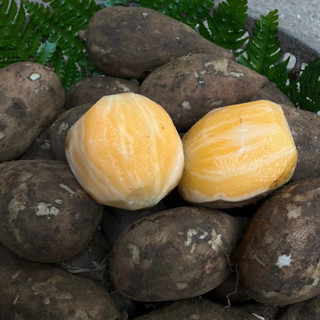  5kg Củ khoai Sâm đất Y TÝ   củ vừa   