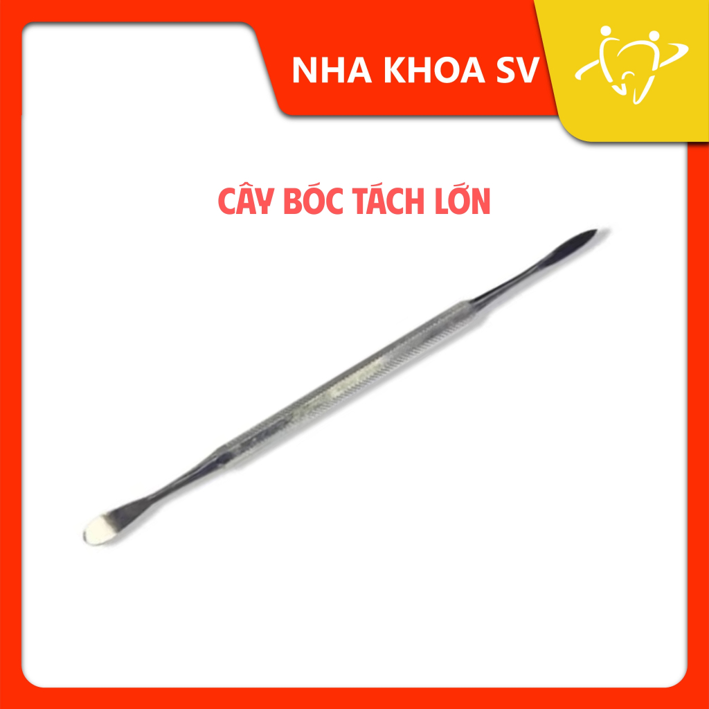 CÂY BÓC TÁCH LỚN