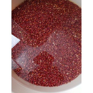 Bột ngũ đậu mầm (bột protein(đạm) thực vật)