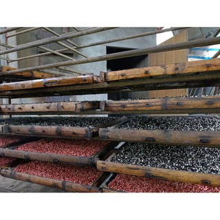 Bột ngũ đậu mầm (bột protein(đạm) thực vật)