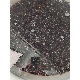Bột ngũ đậu mầm (bột protein(đạm) thực vật)