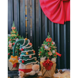 [HOẢ TỐC] Cây sơn tùng trang trí noel (cây thông thật giáng sinh mini)