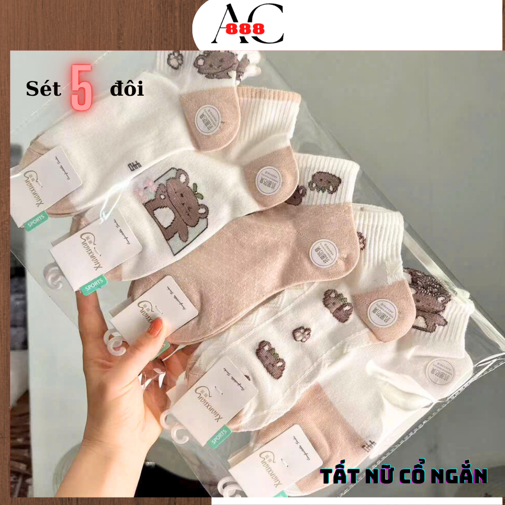 Tất nữ cổ ngắn họa tiết hồng sét 5 đôi T83