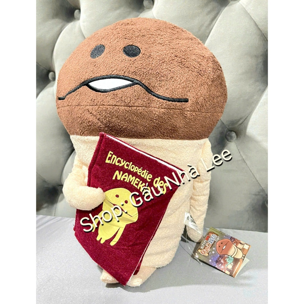 [ Nhật Bản ] [MS1689] Bé gấu bông Nấm Nameko đọc sách, size 40cm, lông mềm mịn, hàng mới, full tem t