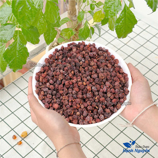 Ngũ vị tử 100g, khô, sạch, không lẫn tạp chất - Thảo Dược Hạnh Nguyên