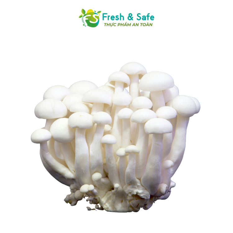 [Chỉ Giao HCM] Nấm Linh Chi Trắng - 125g