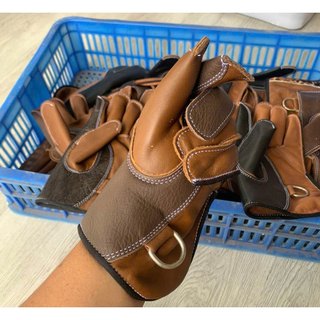 Dụng cụ nuôi chim ưng, phụ kiện nuôi chim ưng, ĐỒ HUẤN LUYỆN CHIM ĐẠI BÀNG, DỤNG CỤ HUẤN LUYỆN CHIM SĂN MỒI